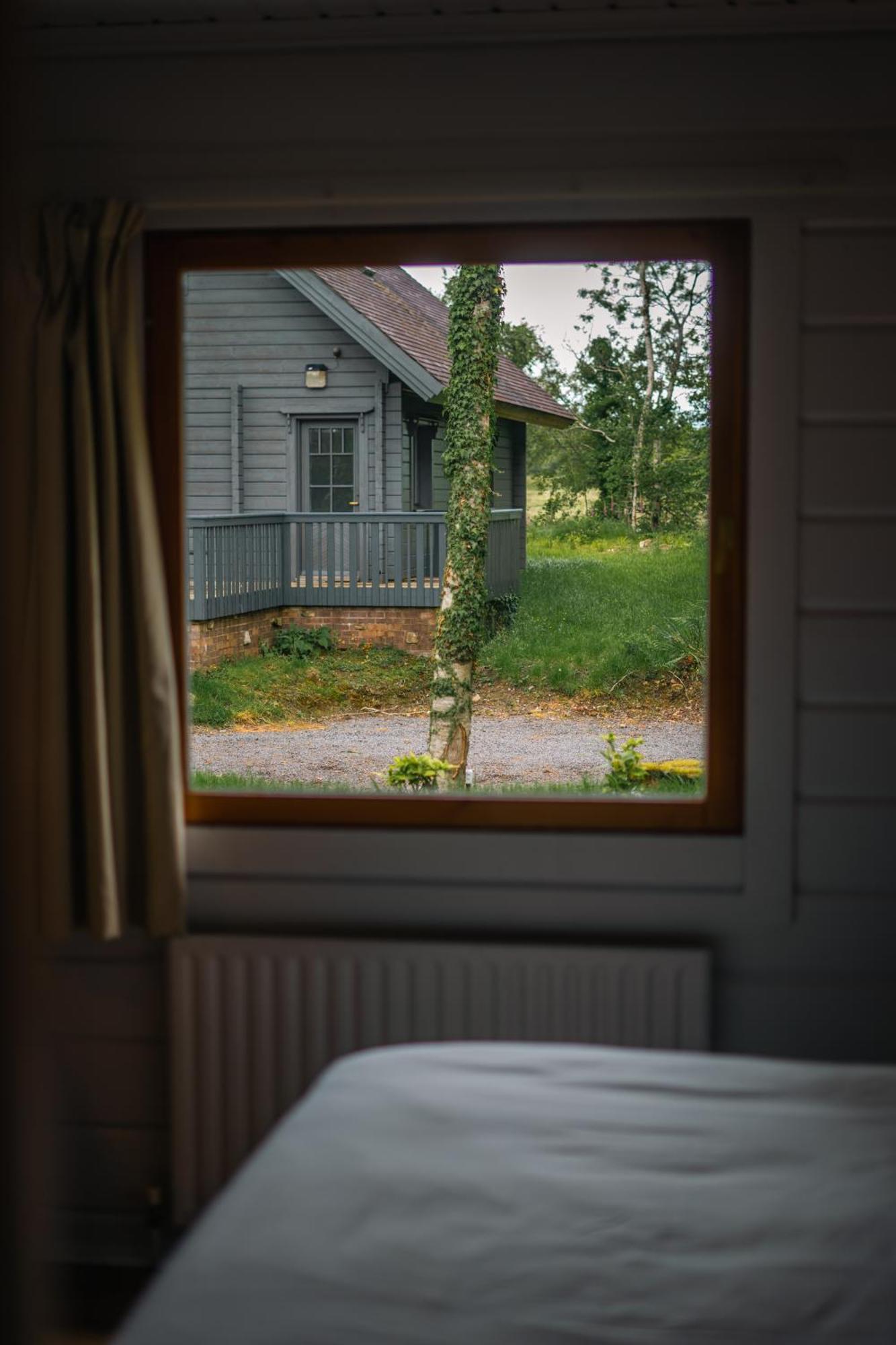 Hotel Lusty Beg Island Kesh Habitación foto