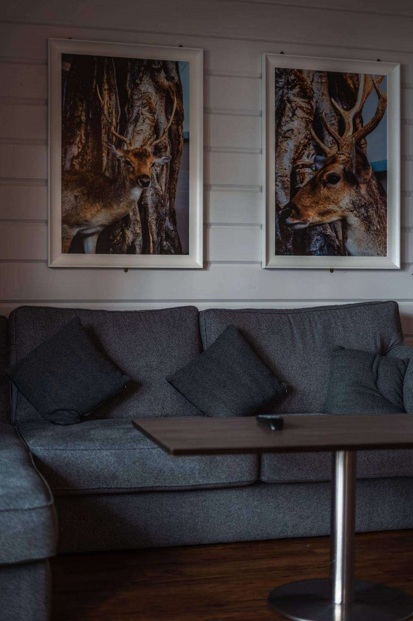 Hotel Lusty Beg Island Kesh Habitación foto